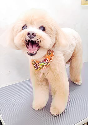 堀内まりもちゃん