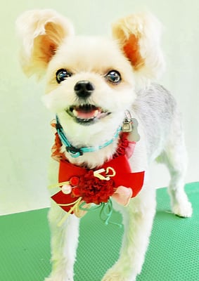 岡元ベリーちゃん