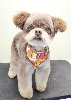 奥ちゃちゃまるちゃん