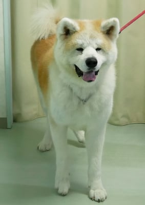 池川ソラちゃん