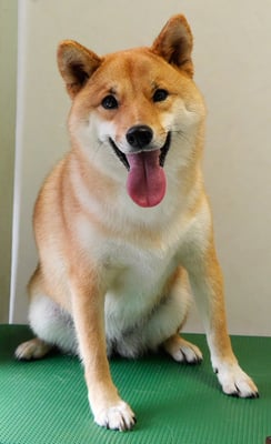 森崎アズキちゃん