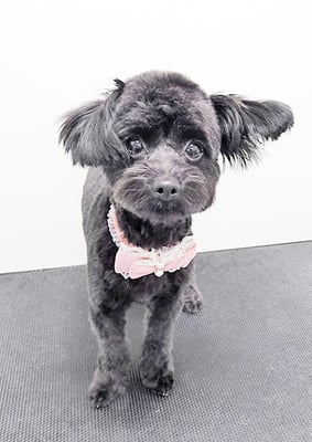 木原シェルちゃん