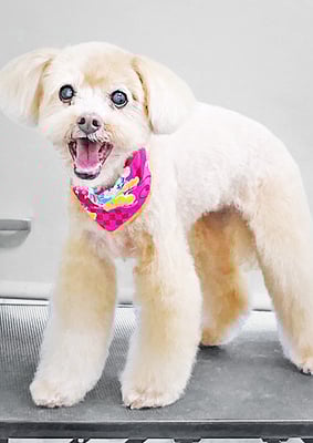 堀内まりもちゃん