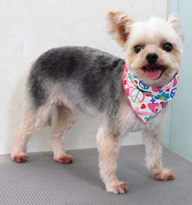 岡元ベリーちゃん