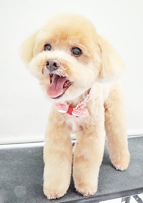 堀内まりもちゃん