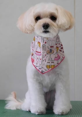 濱島クレアちゃん