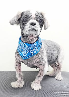 有馬陸斗ちゃん