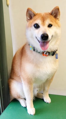 竹崎くうちゃん