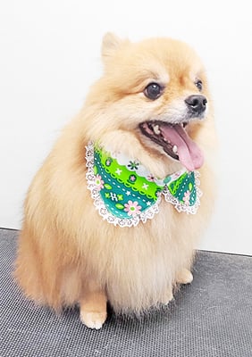 大井ポンタちゃん