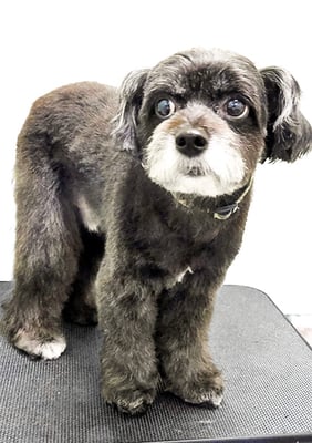 濵田リヨンちゃん