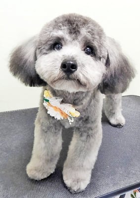 菅原そらちゃん