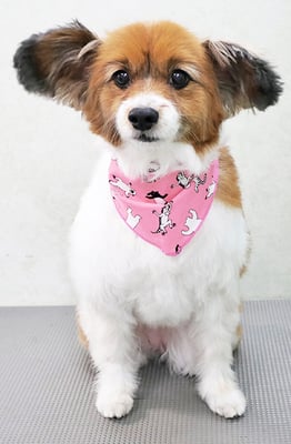 玉利ゆずちゃん