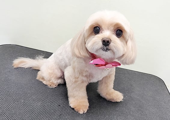 永濱サラちゃん