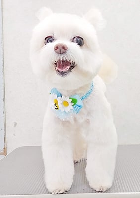 中村ココちゃん