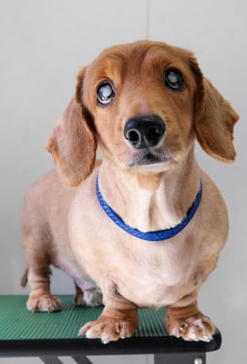 上野モンタちゃん