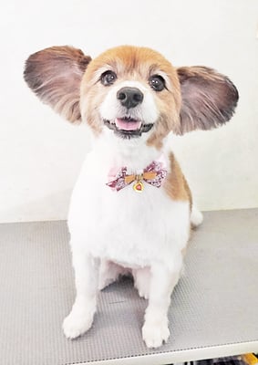 玉利ゆずちゃん