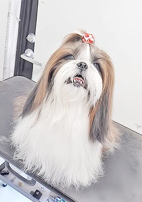 眞邉モモちゃん