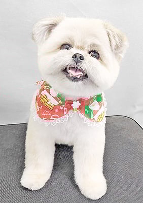 太崎ちゅらちゃん