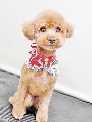 福田なぎちゃん