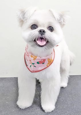 太崎ちゅらちゃん