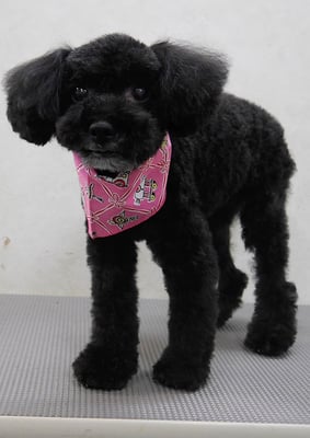 中井ヒナちゃん