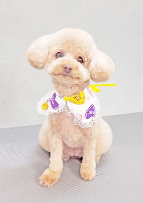 岩元ナノちゃん