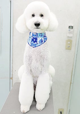 内倉パルちゃん