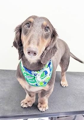 楠畑ルークちゃん