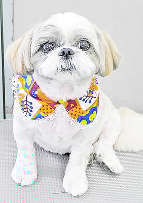 谷口ちょこちゃん