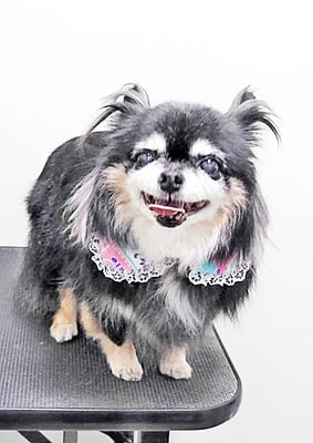 福留まろちゃん