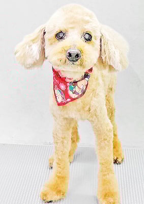 久保りゅうちゃん