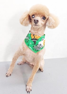 瀬戸口ルイちゃん