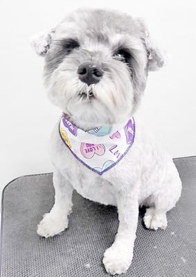 新田つむぎちゃん