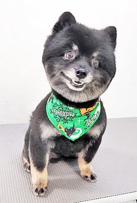 福山ポパイちゃん