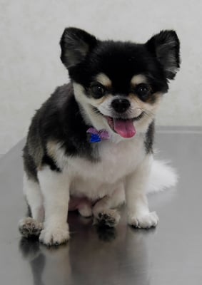 濱本シュウちゃん