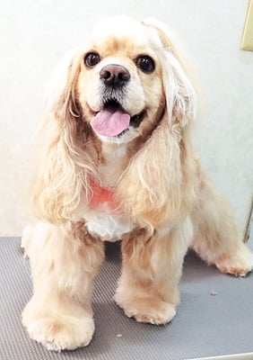 高尾キャンディちゃん