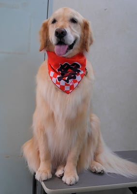 美代ジューンちゃん