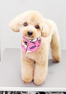 林田くうちゃん