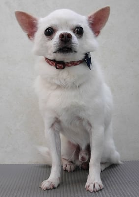 小川めいちゃん