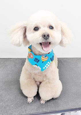 肥田クゥちゃん