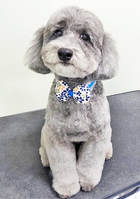 橋口最中ちゃん