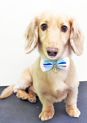 片山マルルちゃん