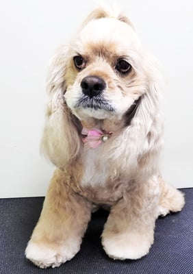 高尾ミルクちゃん