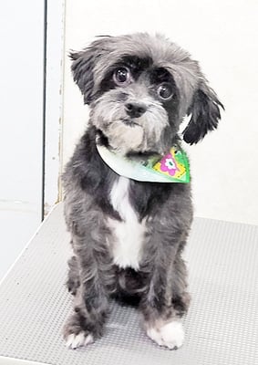 木口屋ジャックちゃん