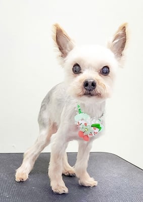 時任ココちゃん