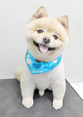 中間小次郎ちゃん