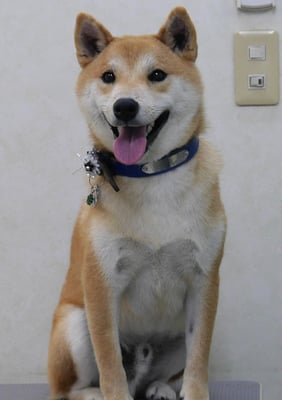 末廣リクちゃん