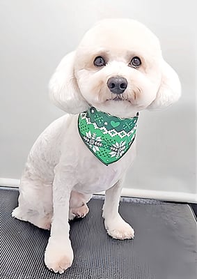 有村ルークちゃん