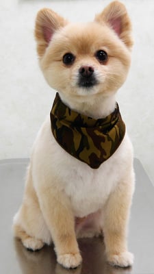 徳留クマちゃん