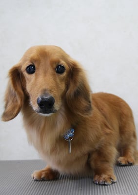 﨑戸ジュリアちゃん